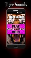 Tiger Sounds Affiche