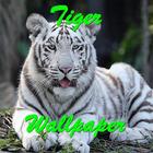 The Tiger Wallpaper ícone