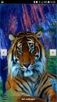 Tigers Live Wallpaper اسکرین شاٹ 2