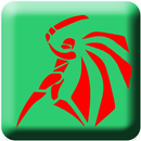 CRICKET LIVE TV STREAMING-APK