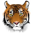 APK Tiger Wallpaper