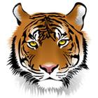 Tiger Wallpaper Zeichen