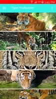 Tiger Wallpaper syot layar 1