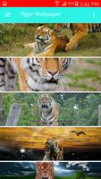 2 Schermata Tiger Wallpaper