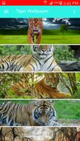 3 Schermata Tiger Wallpaper