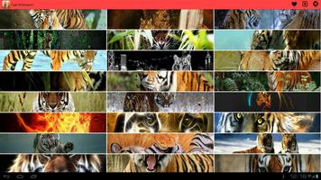 Tiger Wallpapers screenshot 2