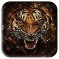 Tiger Wallpapers