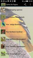 Canto De Pajaro imagem de tela 2
