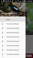 Kicau Kacer Wulung 海報
