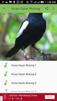 Kicau Kacer Wulung 截圖 1