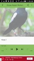 Kicau Kacer Wulung 截圖 2