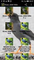 Audio Kicau Jalak Kebo/Kerbau โปสเตอร์