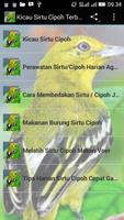 Kicau Sirtu Cipoh Terbaru โปสเตอร์