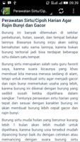 Kicau Sirtu Cipoh Terbaru imagem de tela 3