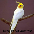 Audio Kicau Parkit Australia APK