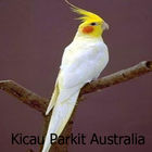 Audio Kicau Parkit Australia icône