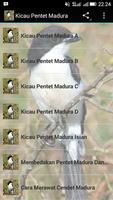 Kicau Pentet Madura โปสเตอร์