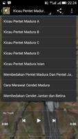 Kicau Pentet Madura Ekran Görüntüsü 2