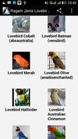 Ragam Jenis Lovebird Populer ภาพหน้าจอ 2