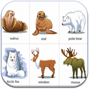 Từ Vựng Tiếng Anh Qua Hình Ảnh APK