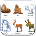 Từ Vựng Tiếng Anh Qua Hình Ảnh icon
