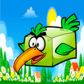 Bird Mission