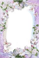 Love Pictures  Photo Frames 截图 3