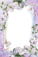 Love Pictures  Photo Frames اسکرین شاٹ 3