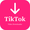 TikTok Video Downloader