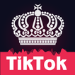 ”Boost Fans For TikTok Musically Likes & Followers