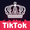 Boost Fans For TikTok Musically Likes & Followers