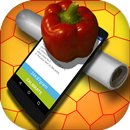 First working scale APK