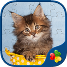 Cats & Kitten Puzzle Games ❤️😺 icône