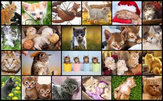 Cats & Kitten Puzzle Games ❤️😺 capture d'écran 1