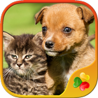 Dogs vs Cats: Jigsaw Puzzle Games 🐶❤️😺 icône