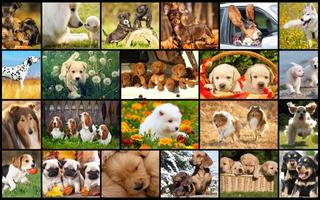 Perros rompecabezas juego niño captura de pantalla 1