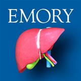 Surgical Anatomy of the Liver أيقونة