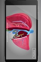 Surgical Anatomy of the Liver syot layar 3