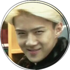 EXO game - find a couple আইকন