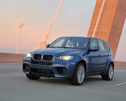 3 Schermata Themes BMW X5