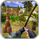 Real Archer Bottle Shooting APK