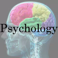 AP Psychology Terms APK Herunterladen