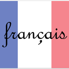 French Nouns icon