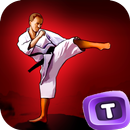 APK Kung Fu 3D