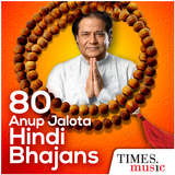80 Anup Jalota Hindi Bhajans-icoon