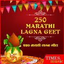 250 Marathi Lagna Geet APK