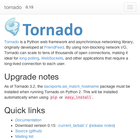 python tornado doc ícone