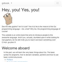 go golang book Ekran Görüntüsü 1