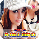 Dangdut Koplo Palapa Hot-APK