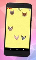 Flying cats اسکرین شاٹ 3